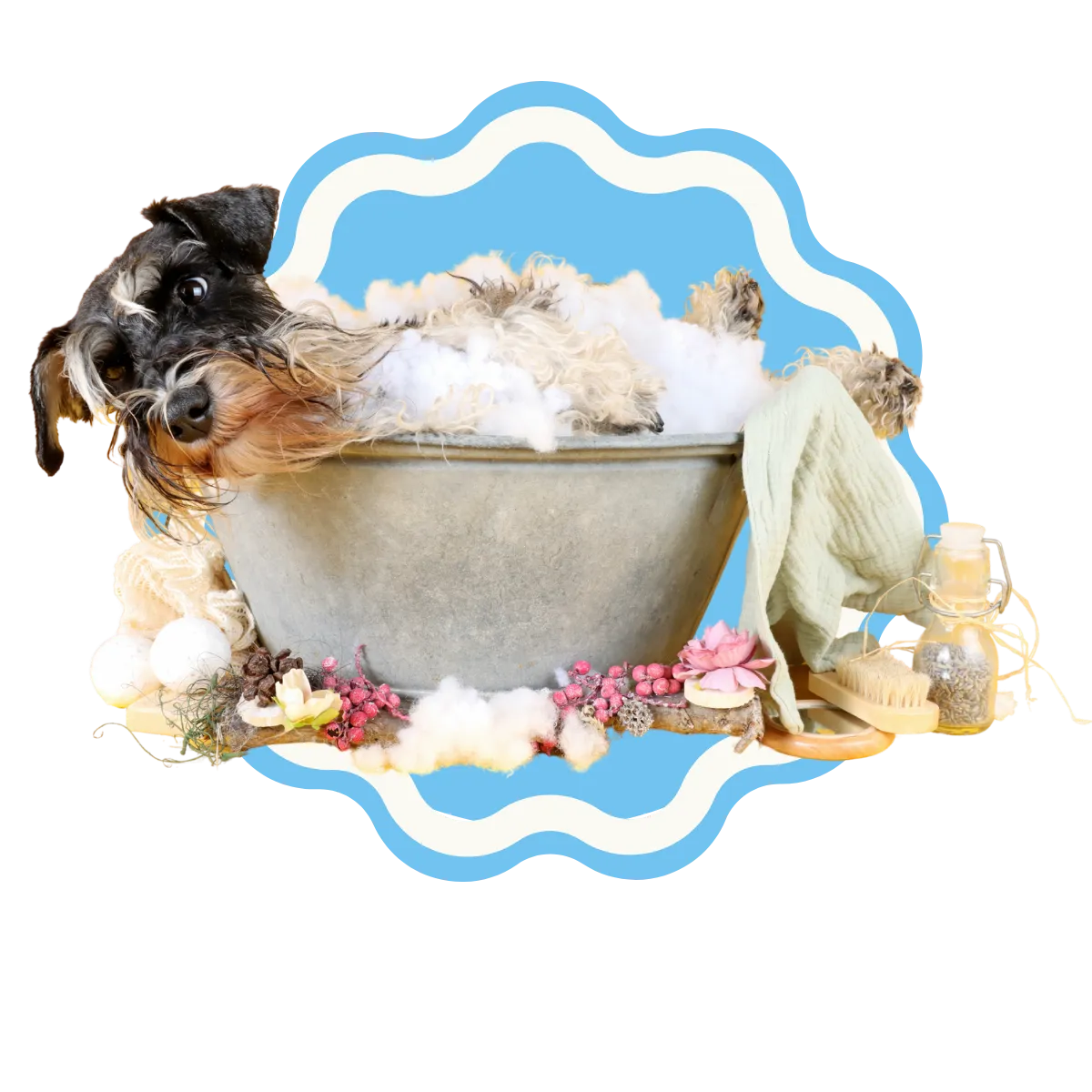 Perrito disfrutando su baño de spa